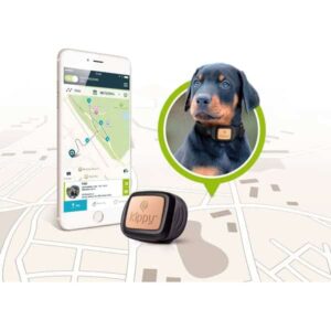 PET finder GPS Tracker Katzen 1
