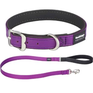 hunde halsband leine purple red dingo