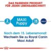 hundefutter royal canin maxi puppy 1