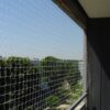 katzennetz balkonnetz schutznetz 1