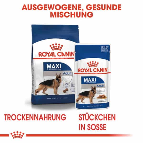 shop my royal canin schwei adult maxi 1